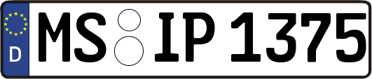 MS-IP1375
