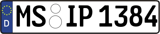 MS-IP1384