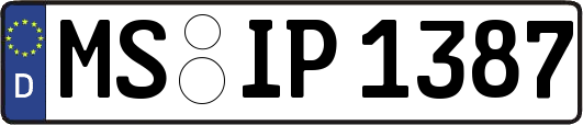 MS-IP1387