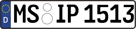MS-IP1513