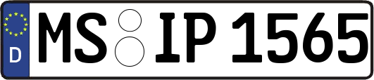 MS-IP1565