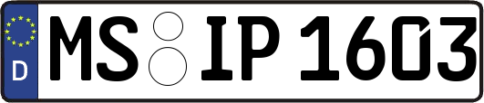 MS-IP1603
