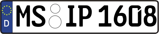 MS-IP1608