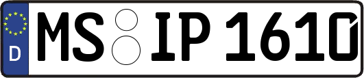 MS-IP1610