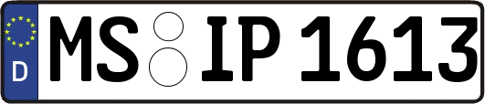 MS-IP1613