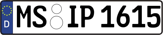 MS-IP1615