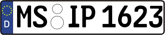 MS-IP1623