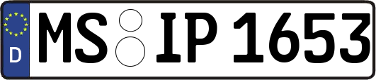 MS-IP1653