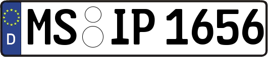 MS-IP1656