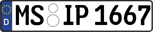 MS-IP1667