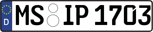 MS-IP1703