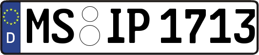 MS-IP1713