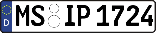MS-IP1724