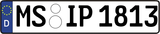 MS-IP1813