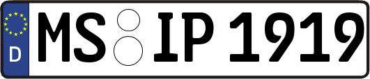 MS-IP1919