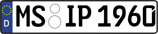 MS-IP1960