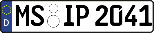 MS-IP2041