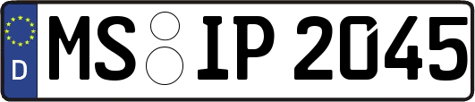 MS-IP2045