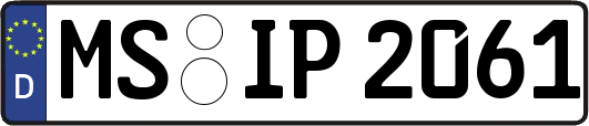 MS-IP2061