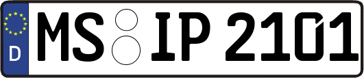 MS-IP2101