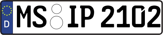 MS-IP2102