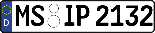 MS-IP2132