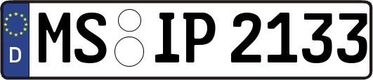 MS-IP2133