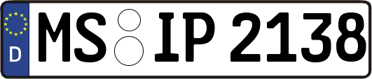 MS-IP2138
