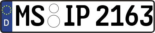 MS-IP2163