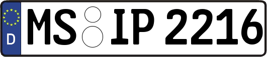 MS-IP2216