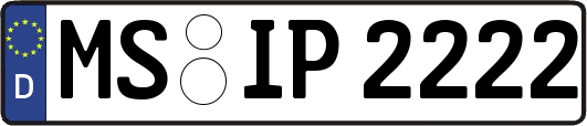 MS-IP2222