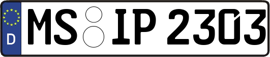 MS-IP2303