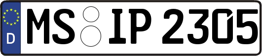 MS-IP2305