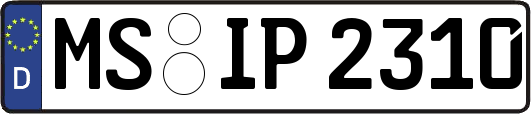 MS-IP2310