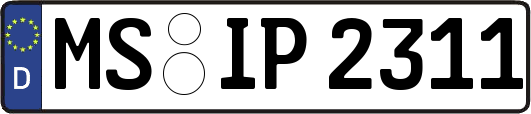 MS-IP2311