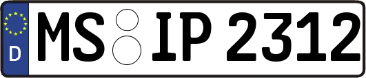 MS-IP2312
