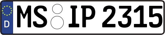 MS-IP2315