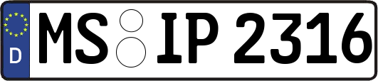 MS-IP2316