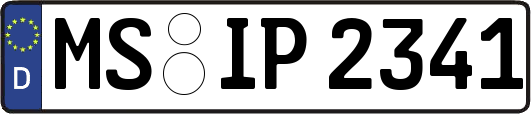 MS-IP2341