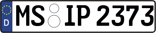 MS-IP2373
