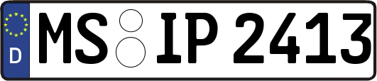 MS-IP2413