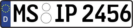 MS-IP2456