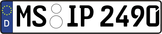 MS-IP2490