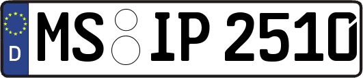 MS-IP2510