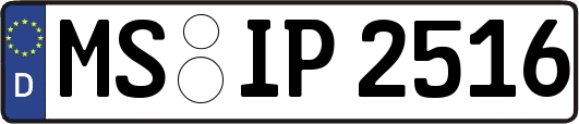 MS-IP2516