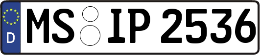 MS-IP2536