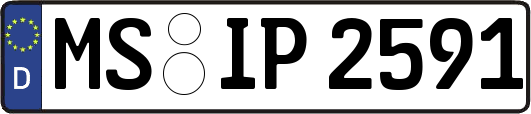 MS-IP2591