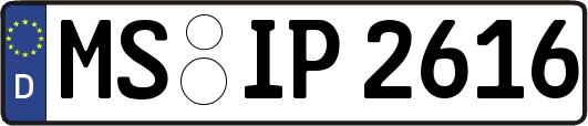 MS-IP2616