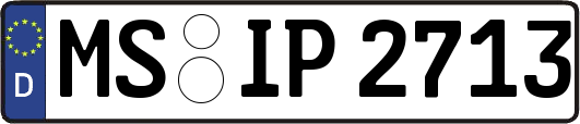 MS-IP2713