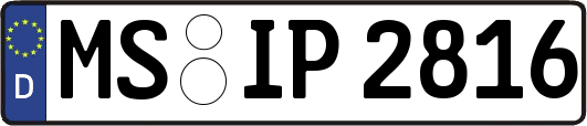 MS-IP2816